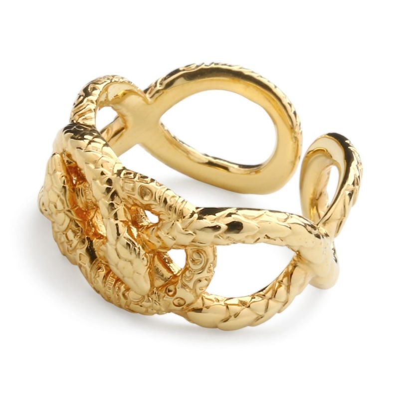 【SALE】 コンロン Ring ジュエリー | coating w/gold Hanahebi : アクセサリー