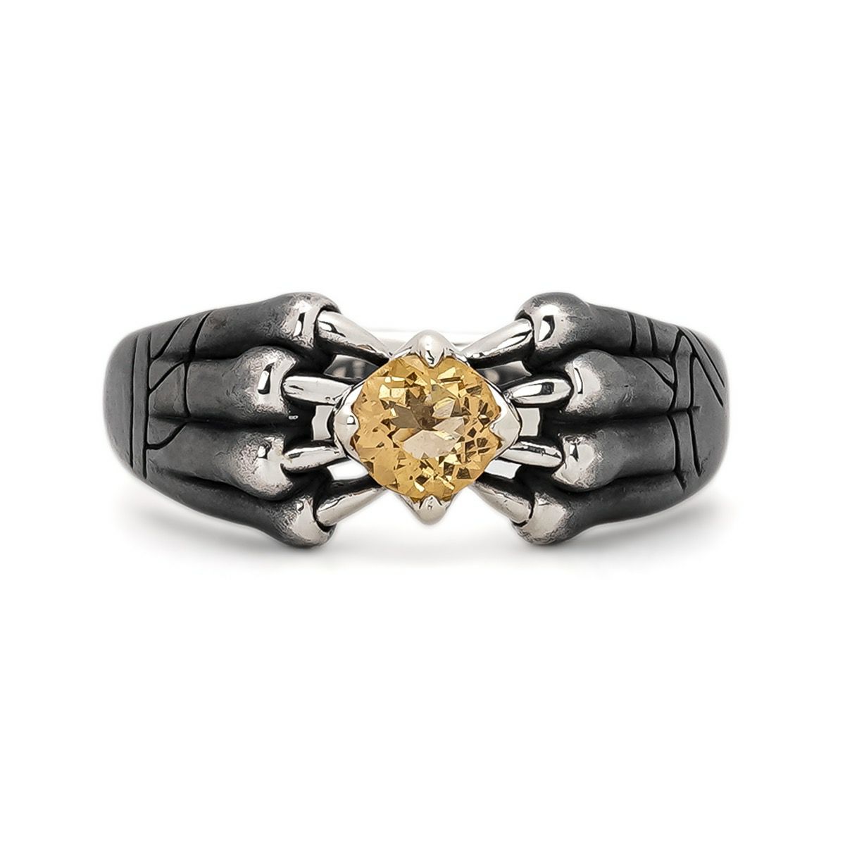 Circle of Life - Bloody Mary / ブラッディマリー 公式サイト